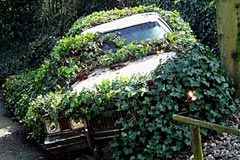 2419_Mobilitaet.jpg