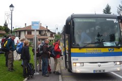 2613_Bus.jpg
