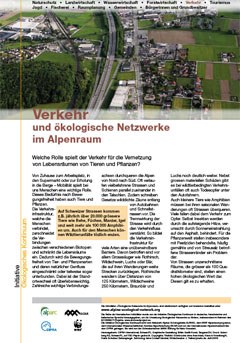 2705_verkehr.jpg