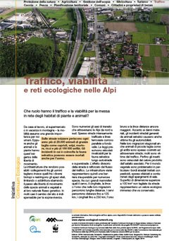 2707_traffico.jpg