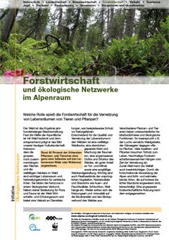 2708_Forstwirtschaft.jpg