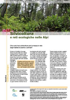 2710_Silvicoltura.jpg