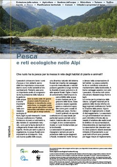 2752_pesca.jpg