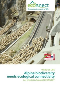 3729_cover.jpg