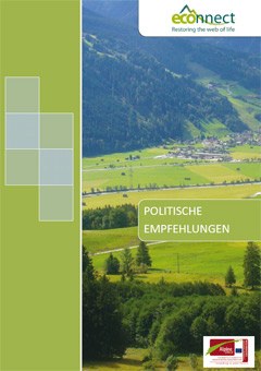 3775_cover.jpg