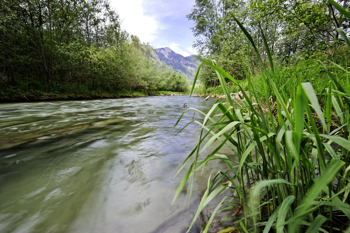 4.4 Rhein Binnenkanal Ruggel (c) Heinz Heiss.jpg