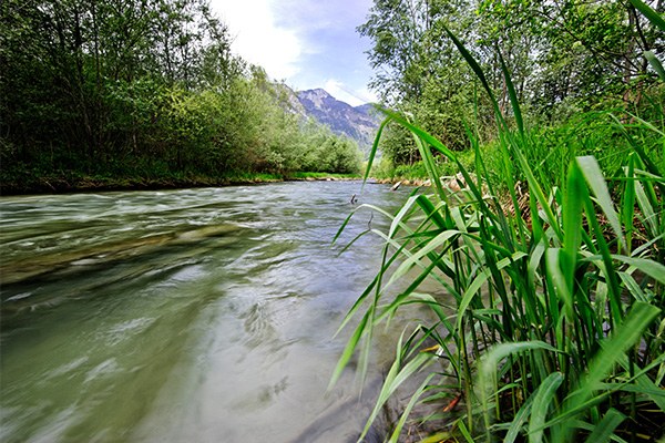 4.4 Rhein Binnenkanal Ruggell_(c)Heinz Heiss_600x400.jpg