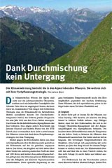 4179_Alpenflora.jpg