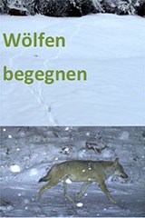 4371_Wolf.jpg