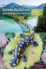 4404_schritt.JPG