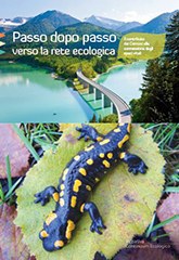 4406_salamander_it.JPG