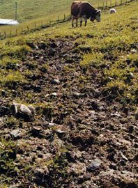 549_erosion.jpg