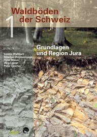 558_waldboeden_jura.jpg