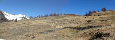 8ce36219-8d63-421d-ad6c-eac46d975f9c.jpeg