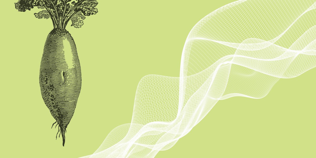 banner.jpg