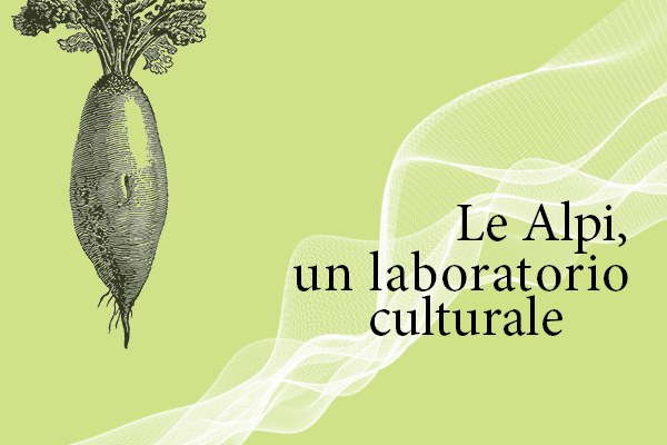 banner_i2.jpg