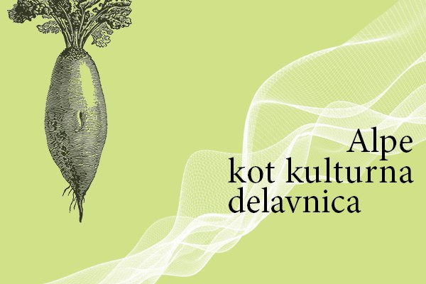 banner_s2.jpg