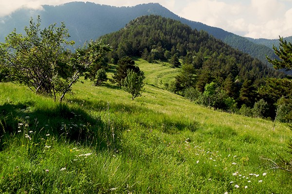 Carnino (c) Francesco Pastorelli (2).jpg