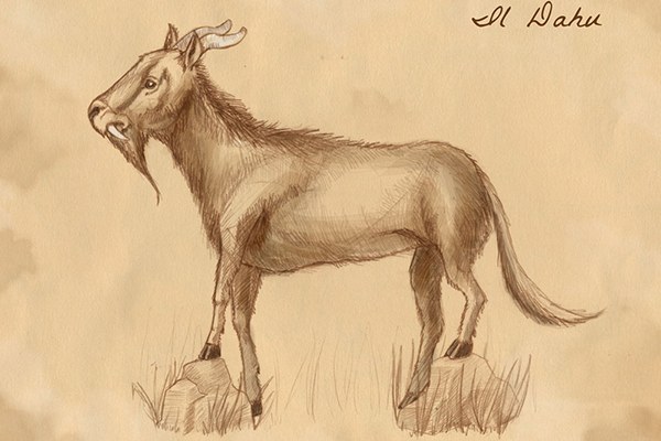 dahu(c)valdesina.babacio.it.jpg
