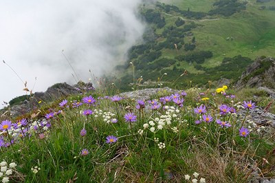 DreiSchwestern-(c)-Malina-Grubhofer.jpg