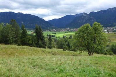 Foto_2_Frederick_Manck.JPG