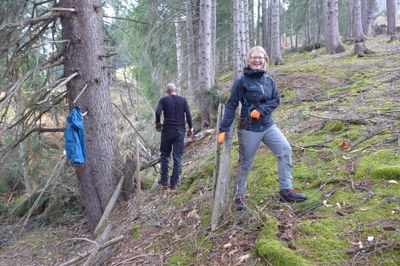 Foto_3.JPG