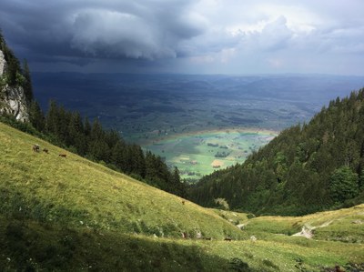 Foto_4_Jana_Meus.JPG