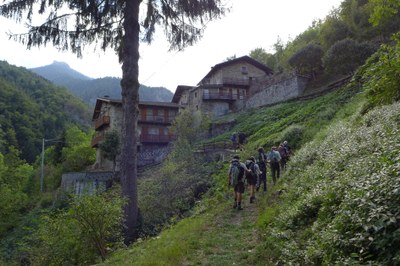 Foto_5.JPG