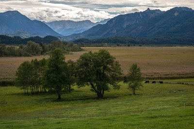 ger L_Murnauer Moos_(c)pixabay.jpg