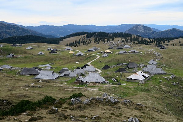 © Manca Čujež 5