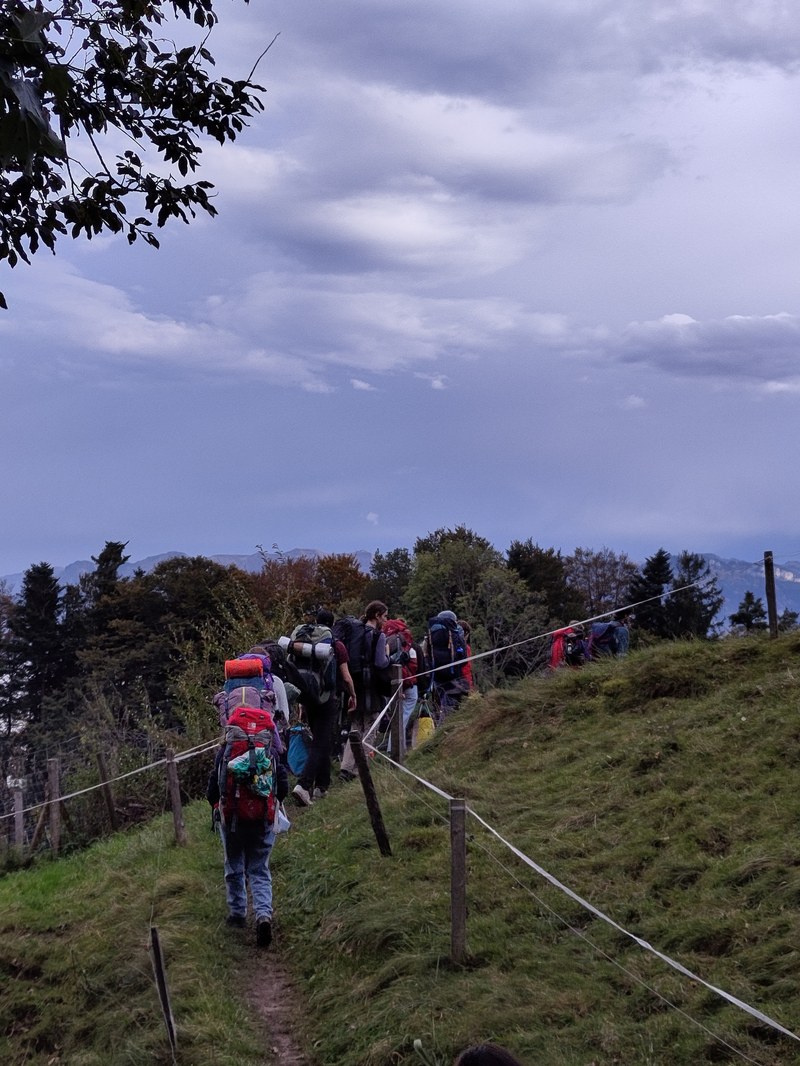 IMG 20241016 172233