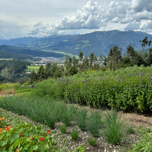 IMG 3759 web