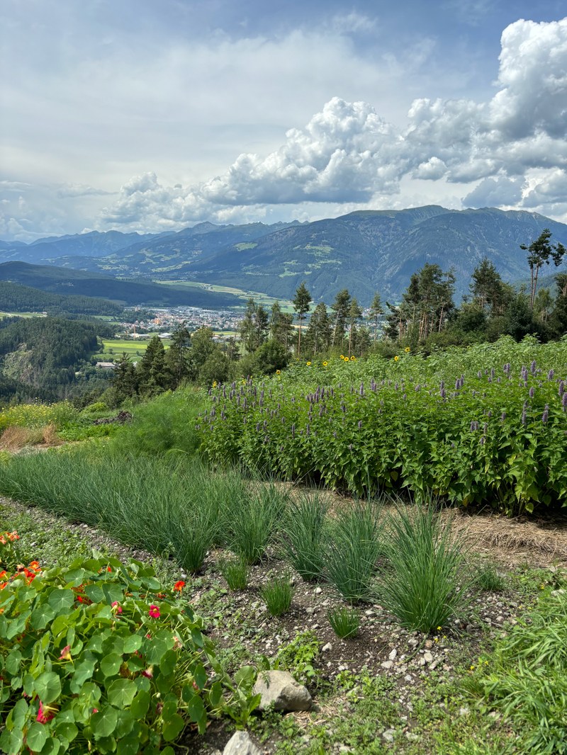 IMG 3759 web