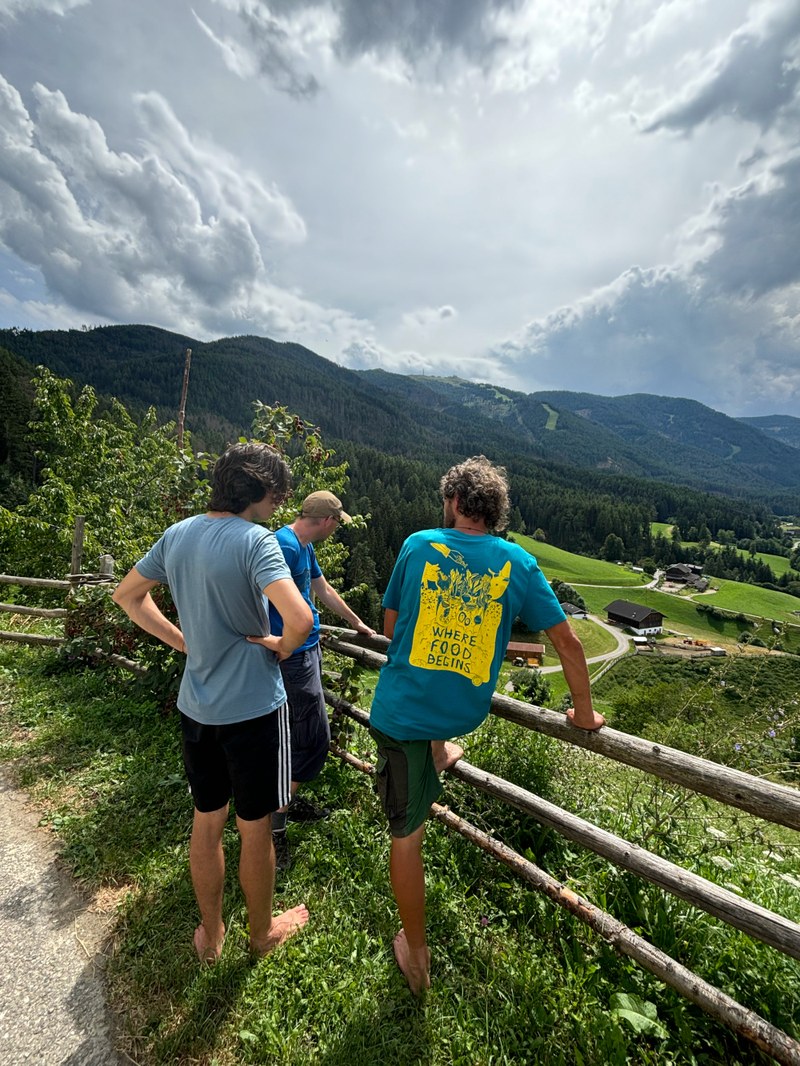 IMG 3772 web