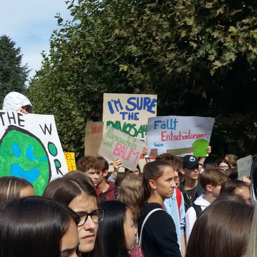 Klimastreik in Bregenz (c)CIPRA International (4)
