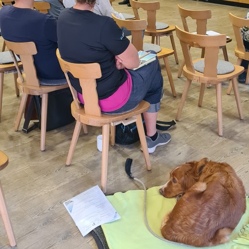 Lauscher aufgestellt