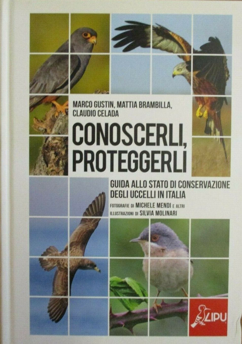 Libro LIPU.jpg