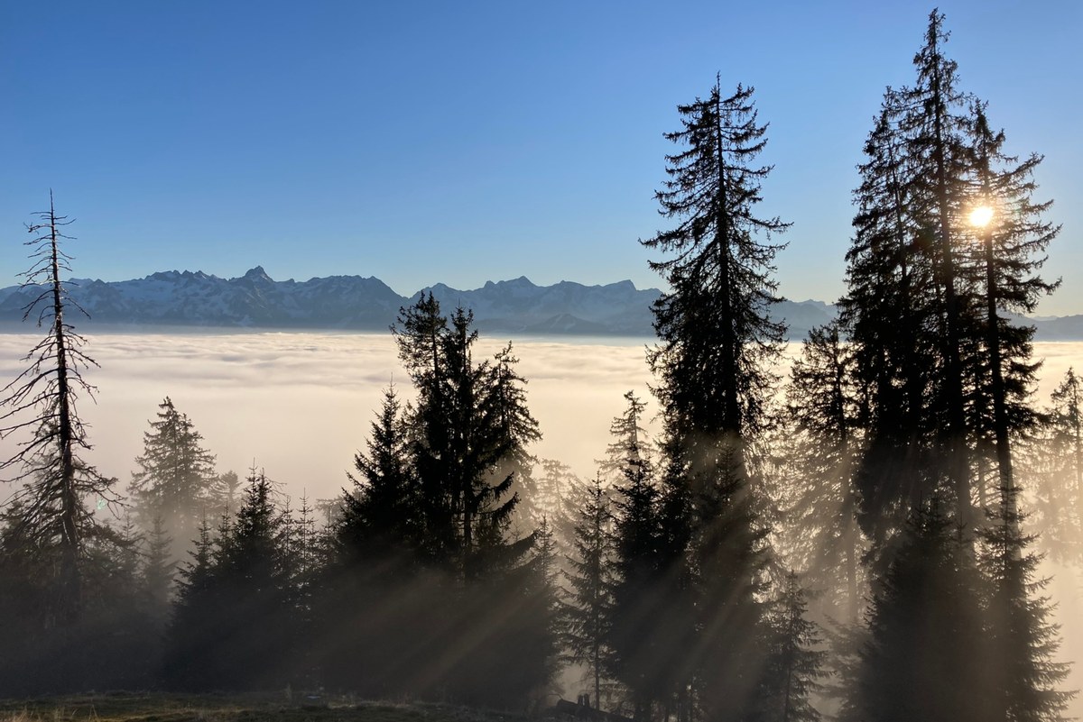 MM Tag d Berge 2020 Landschaft (c) CIPRA International_Michael Gams.jpg