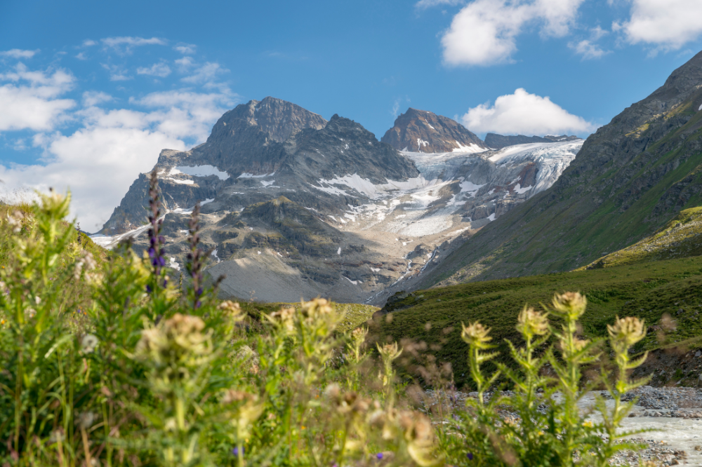 Ochsentaler Gletscher (c) canva.png