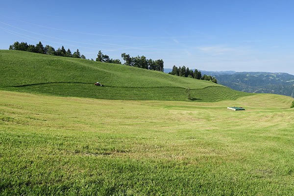 Photo_7_(Danilo_Bevk).JPG