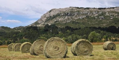 PNRPA_agriculture_04-GGERMAIN_web.jpg