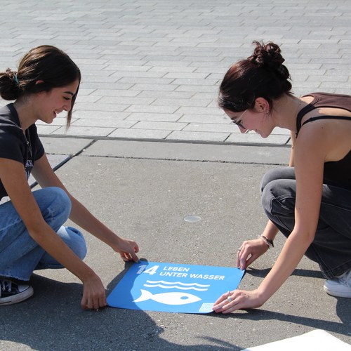 SDG Klebeaktion Schaan Alps2030 cVeronika Hribernik CIPRA(1)