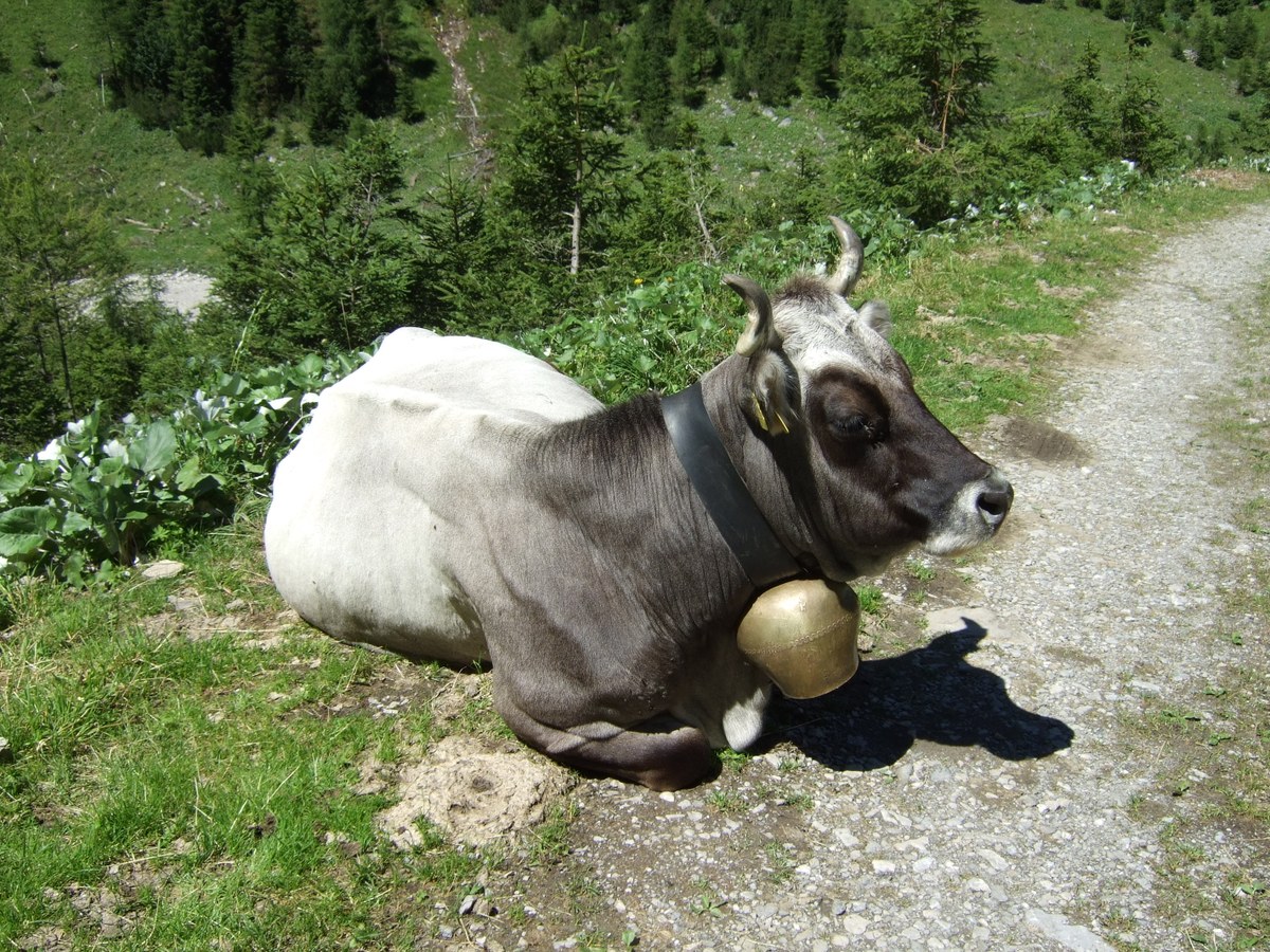 sommer_otztal_lechtal-346.jpg