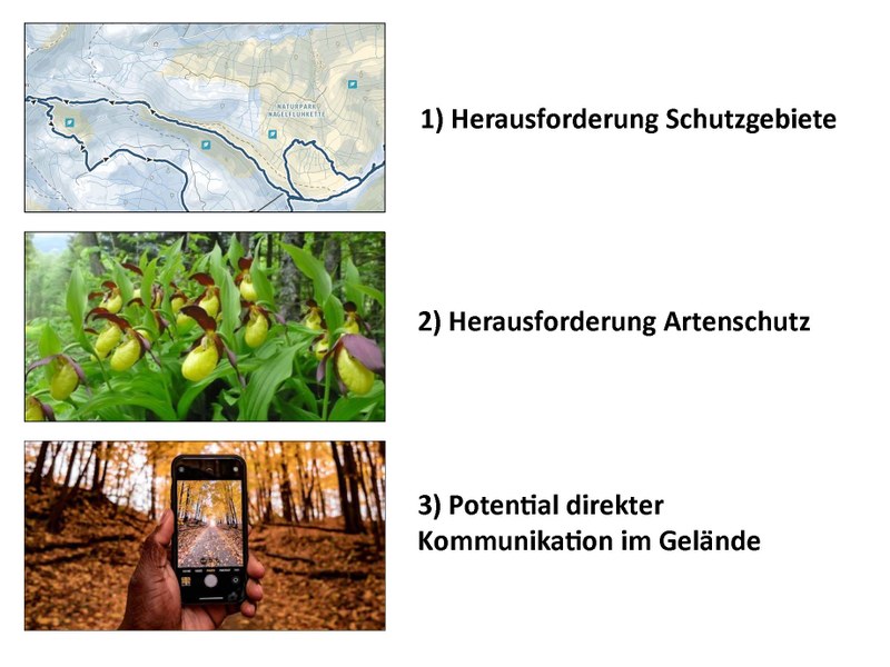 Steinbauer Seite 05
