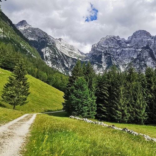 Via Alpina (c) Julien Defois
