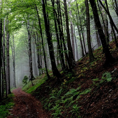 Via Alpina c Matthieu Chambaud - Slow Rando (2)