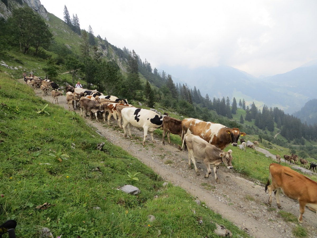 walsertour_2012-095.jpg