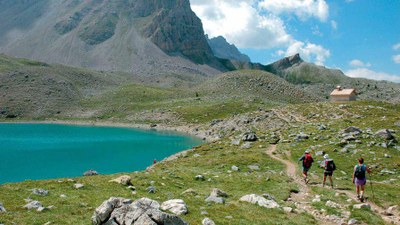 yarii.flore-et-lac-de-montagne.jpeg