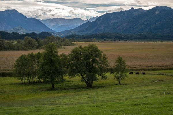 Murnauer Moos (DE)