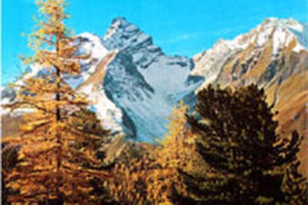 Park Ela - največji naravni park v Švici Park Ela - največji naravni park v Švici
